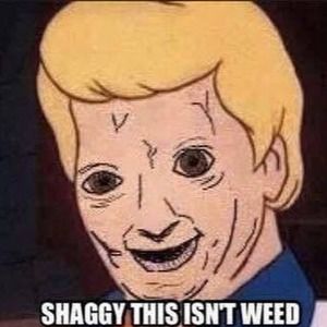 Meet your Posher, Joaquin